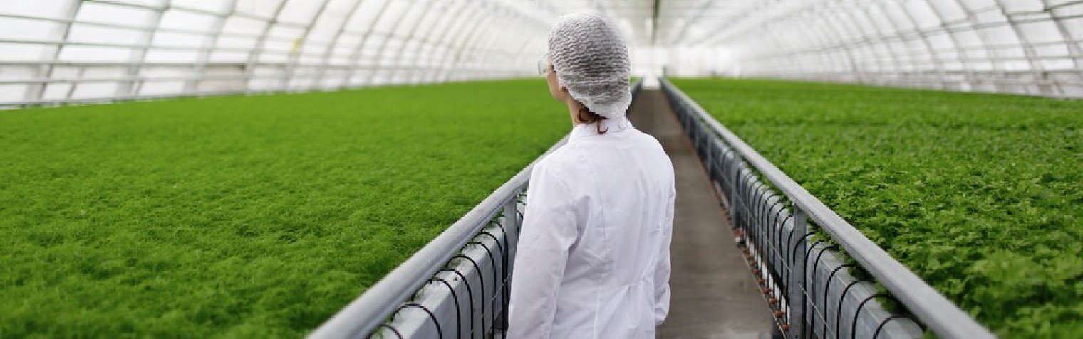 开云电竞·Kaiyun(中国集团)官方网站